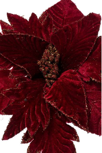 20" VELVET GD MIX GLITER POINSETTIA STEM BURG