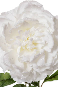 28" SNOWED PEONY SPRAY SNOW/WHITE