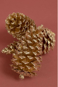 2.5" - 4" MEDIUM PINE CONES GOLD PKG/12