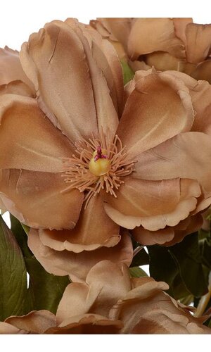 21" SILK MAGNOLIA BUSH LIGHT BROWN