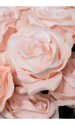 22 IN MIRCO PEACH ROSE BUSH X18 BLUSH PINK