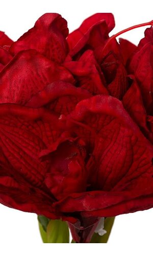 12.5" SILK AMARYLLIS BUNDLE RED