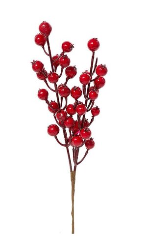 10" RED BERRY PICK RED PKG/6