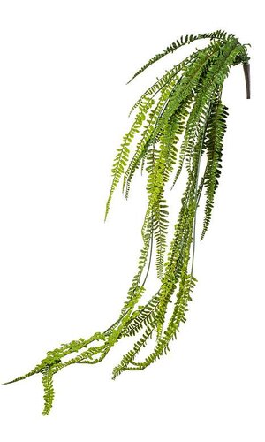 50" FERN HANGING BUSH GREEN,