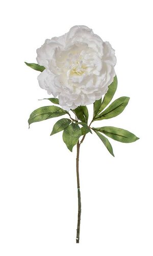 28" SNOWED PEONY SPRAY SNOW/WHITE