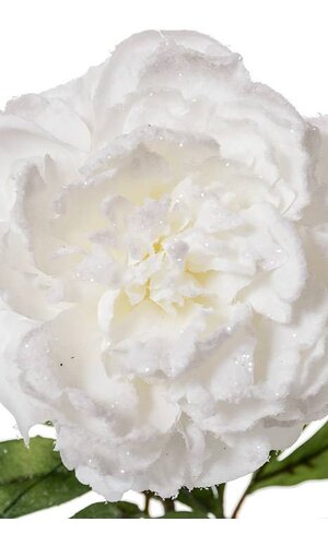 28" SNOWED PEONY SPRAY SNOW/WHITE