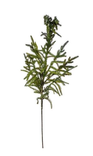 38" NATURAL TOUCH NORFOLK PINE SPRAY GREEN