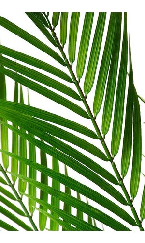 38" ARECA PALM SPRAY GREEN