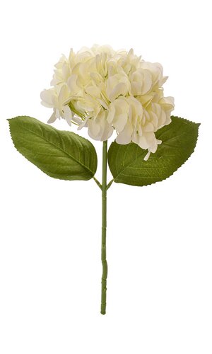 19" Hydrangea - 7" Bloom W/2 Leaves - Cream