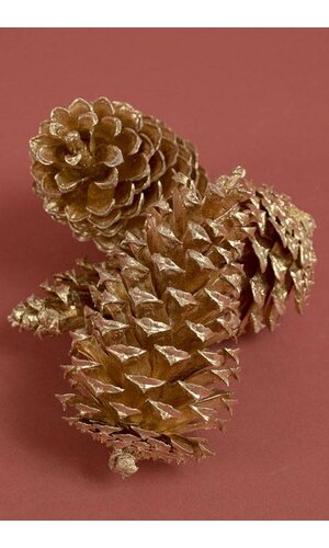 2.5" - 4" MEDIUM PINE CONES GOLD PKG/12