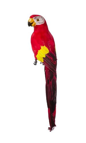 17.5" STANDING PARROT RED/YELLOW