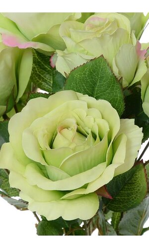 19" SILK ROSE BUD BUSH X10 GREEN