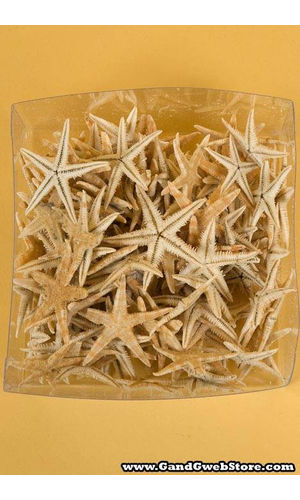 STARFISH NATURAL PKG/100