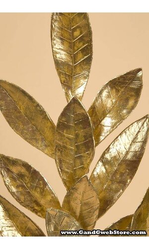 19" BAY LEAF SPRAY GOLD PKG/6