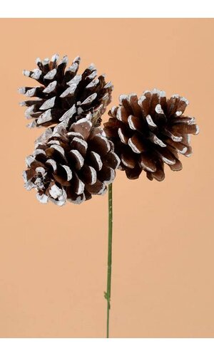 2" PINE CONE W/WHITE TIP PICK PKG/12