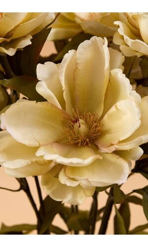 23" MAGNOLIA BUSH BEIGE