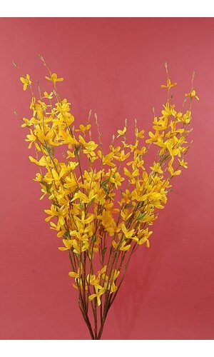 34" FORSYTHIA BUSH YELLOW EA.