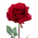 28" PLANTER ROSE RED PKG/12