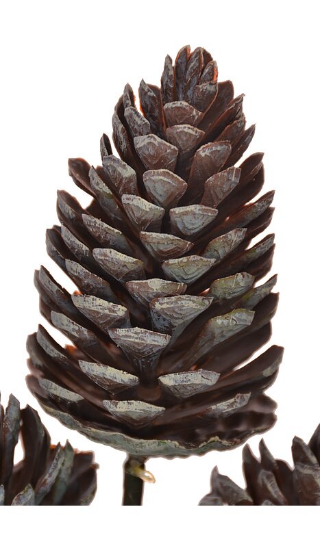 10 Pine Cone Pick Brown (Pack of 12) XAK577-BR